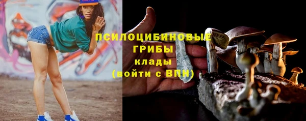 MDMA Бородино