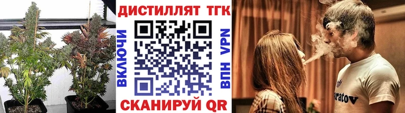 ТГК Wax  Кологрив 